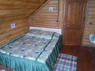 Гостевой дом Домик в Горах Bukovets Двухместный номер с 1 кроватью-4
